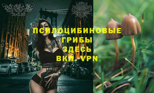 jwh Волосово