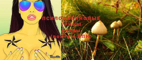 мяу мяу мука Верхний Тагил
